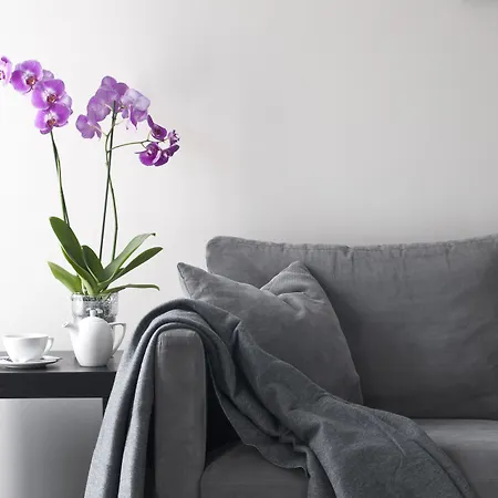 Malta Premium 3* ポズナン