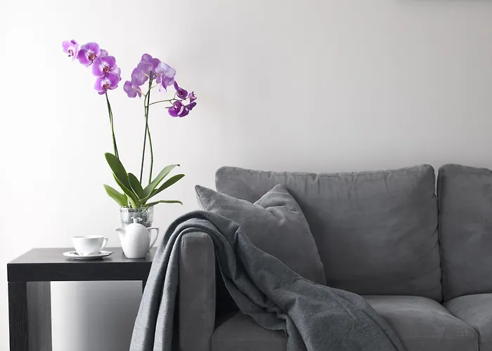 Malta Premium 3* 波兹南