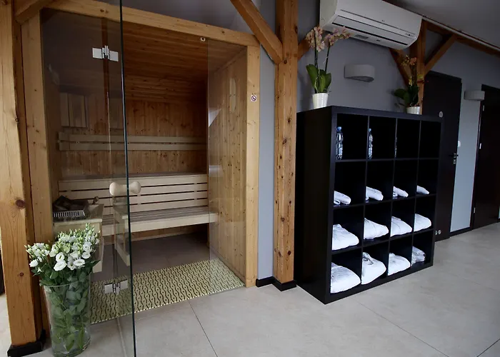 酒店 Malta Premium 波兹南