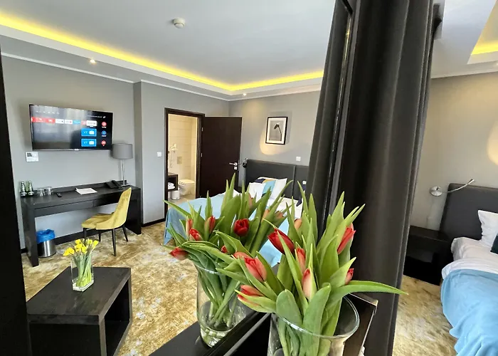 酒店 Malta Premium 波兹南